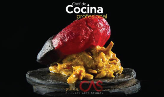 Cocina profesional