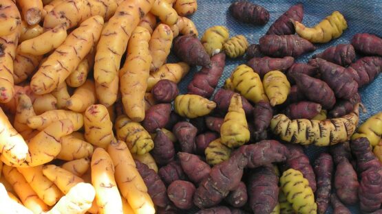 Mashua, superalimento para la salud